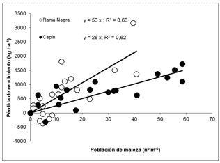 Pérdida del rendimiento del cultivo de soja por la presencia de rama negra y capín - Image 3