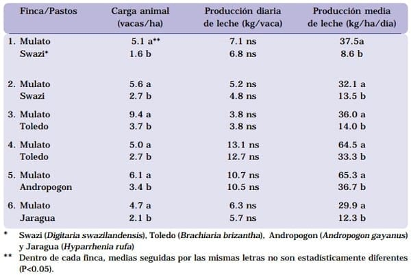 Cultivar Mulato: Gramínea de alta producción y calidad forrajera para los trópicos - Image 12