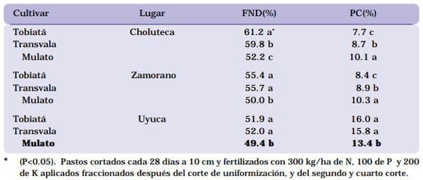 Cultivar Mulato: Gramínea de alta producción y calidad forrajera para los trópicos - Image 10