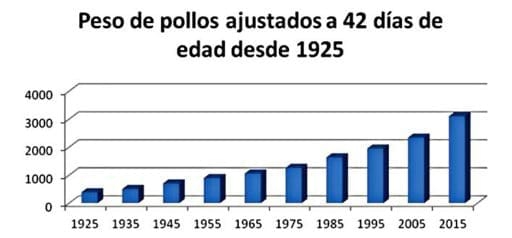 Resultados de una producción avícola eficiente. Nuevos retos a los que se enfrenta la avicultura en América Latina. - Image 2