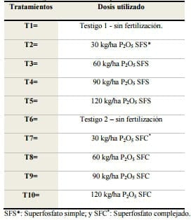 Efecto de fuentes y dosis de fósforo en el cultivo de soja (glycine max l.) en un suelo rhodic paleudult - Image 2