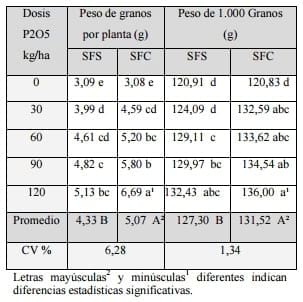 Efecto de fuentes y dosis de fósforo en el cultivo de soja (glycine max l.) en un suelo rhodic paleudult - Image 4