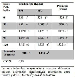 Efecto de fuentes y dosis de fósforo en el cultivo de soja (glycine max l.) en un suelo rhodic paleudult - Image 3