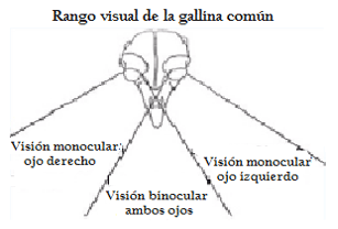 Luz en Avicultura Comercial - Image 2