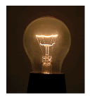 Luz en Avicultura Comercial - Image 7