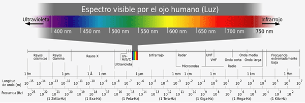 Luz en Avicultura Comercial - Image 4