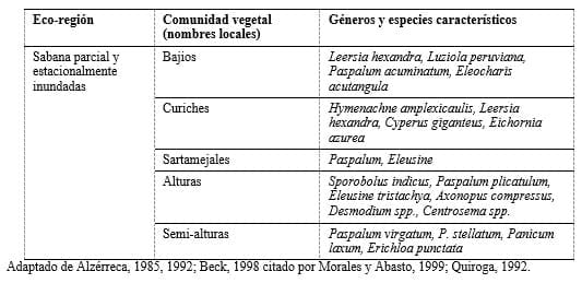 La ganadería del beni y la calidad de los pastos nativos vs. los pastos introducidos - Image 4