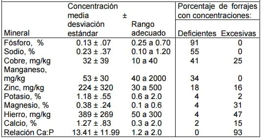 Alimentación y suplementación mineral - Image 2