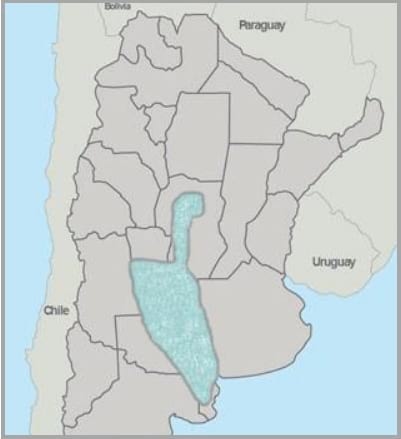 Gramíneas forrajeras para el subtrópico y el semiárido central de la Argentina - Image 27
