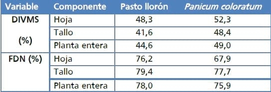 Gramíneas forrajeras para el subtrópico y el semiárido central de la Argentina - Image 34