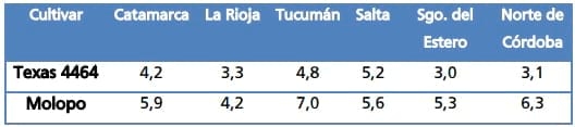 Gramíneas forrajeras para el subtrópico y el semiárido central de la Argentina - Image 12