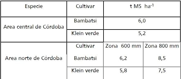 Gramíneas forrajeras para el subtrópico y el semiárido central de la Argentina - Image 39