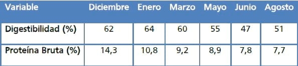 Gramíneas forrajeras para el subtrópico y el semiárido central de la Argentina - Image 40