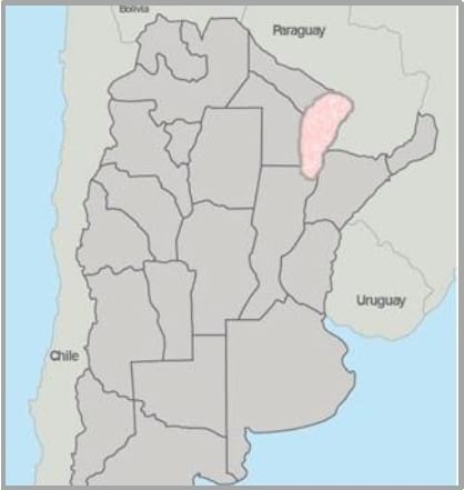 Gramíneas forrajeras para el subtrópico y el semiárido central de la Argentina - Image 23