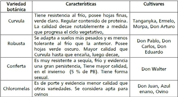 Gramíneas forrajeras para el subtrópico y el semiárido central de la Argentina - Image 35