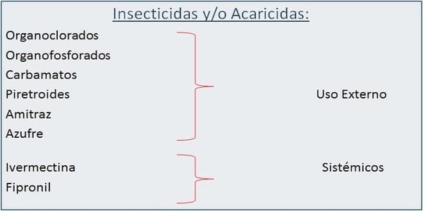 Piojos Acaro Rojo y Acaro del Norte, Diferencias Biológicas y sus consecuencias - Image 13