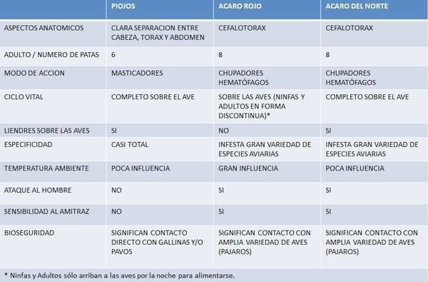Piojos Acaro Rojo y Acaro del Norte, Diferencias Biológicas y sus consecuencias - Image 12