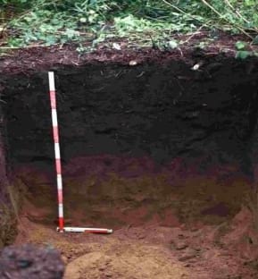 El Biocarbón - Image 3