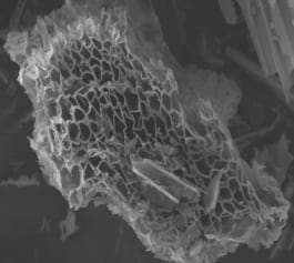 El Biocarbón - Image 2