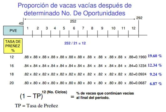 “Período Permisible de Inseminación” y su Relación con las Estrategias de Desecho. - Image 8