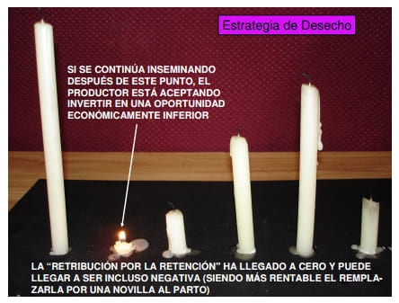 “Período Permisible de Inseminación” y su Relación con las Estrategias de Desecho. - Image 7