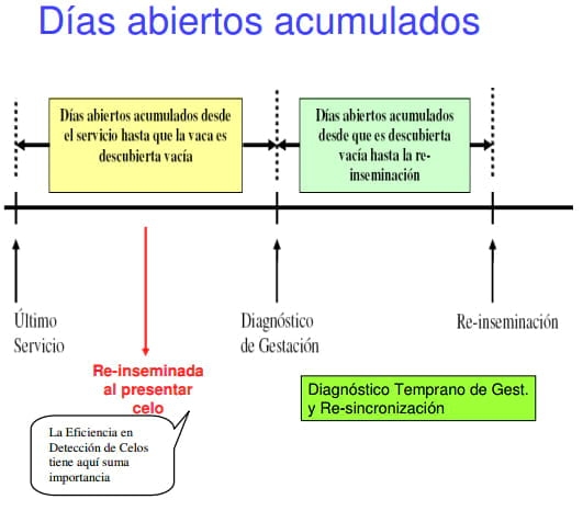 “Período Permisible de Inseminación” y su Relación con las Estrategias de Desecho. - Image 2
