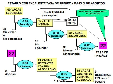 “Período Permisible de Inseminación” y su Relación con las Estrategias de Desecho. - Image 9