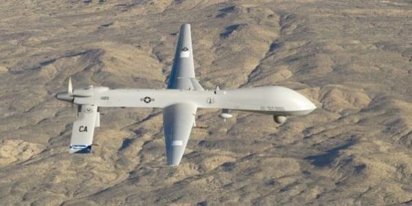 Accidentes aéreos, Aves migratorias vs drones. Máxima alerta para la aviación - Image 6