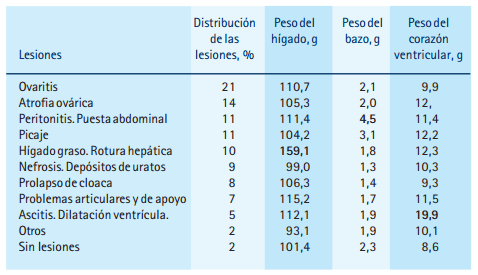 Mortalidad y lesiones en reproductoras pesadas durante el periodo de producción - Image 1