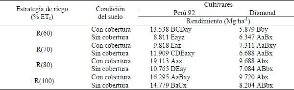 Efecto del riego y la cobertura del suelo sobre la productividad de dos cultivares de ají dulce - Image 5