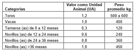 Análisis Financiero basado en la Proyección de Hatos para estimar los ingresos netos anuales, por concepto de venta de productos, en una Empresa Ganadera Tropical - Image 1