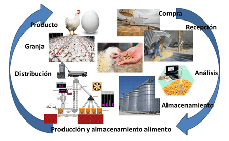 Control Integral de Micotoxinas en la Producción Pecuaria - Image 1