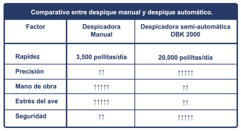Desarrollo óptimo de la pollita de reemplazo. Bases para una producción eficiente de Huevo. Despique - Image 7