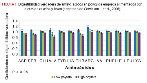 Los Efectos Extrafosfóricos de la Fitasa - Image 2