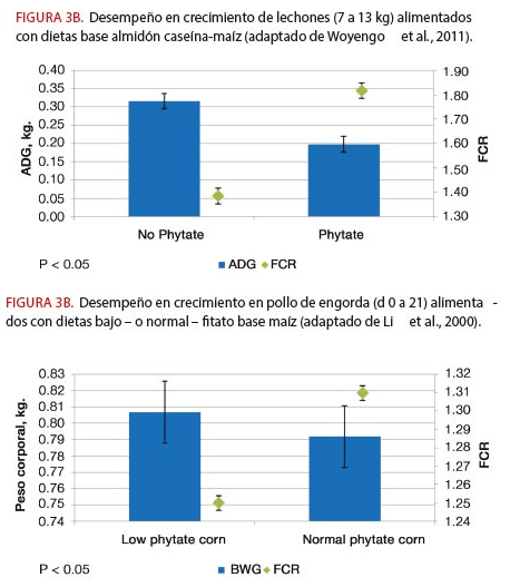 Los Efectos Extrafosfóricos de la Fitasa - Image 4