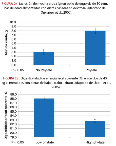Los Efectos Extrafosfóricos de la Fitasa - Image 3