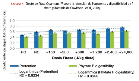 Los Efectos Extrafosfóricos de la Fitasa - Image 5