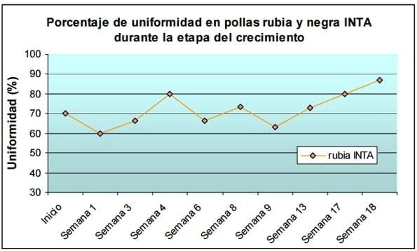 Evaluación de la fase de cría, recría y pre-postura de ponedoras Rubia - Image 4