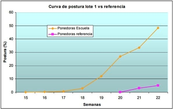 Evaluación de la fase de cría, recría y pre-postura de ponedoras Rubia - Image 5