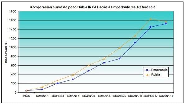 Evaluación de la fase de cría, recría y pre-postura de ponedoras Rubia - Image 3