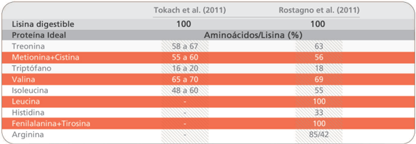 Nutrición de aminoácidos para lechones: Una visión de la industria - Image 2