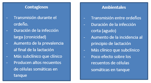En la mejora de la calidad de leche, 1 + 1 = 3 - Image 1