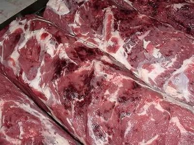 Bienestar animal: La picana electrica no es inofensiva - Image 1