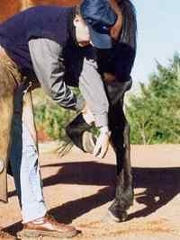 ¿Cómo levantar las manos y las patas del caballo? - Image 12