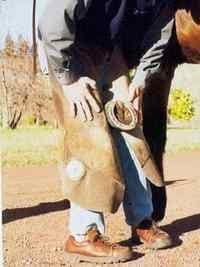 ¿Cómo levantar las manos y las patas del caballo? - Image 5