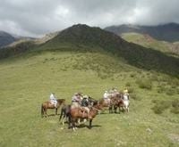 Preguntas frecuentes sobre herrado de caballos - Image 6