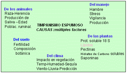El Empaste es un Problema Permanente - Image 1