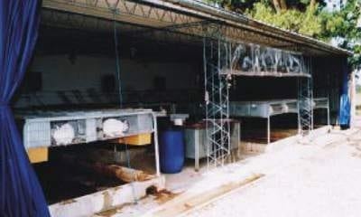 Nueva tecnología para la producción de conejos de carne - Image 1