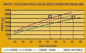 Nueva tecnología para la producción de conejos de carne - Image 5