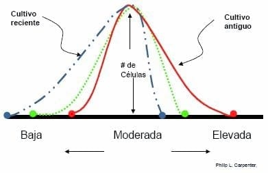 Efecto de adaptación de los microorganimos a los Agentes Biocidas y su impacto económico - Image 1